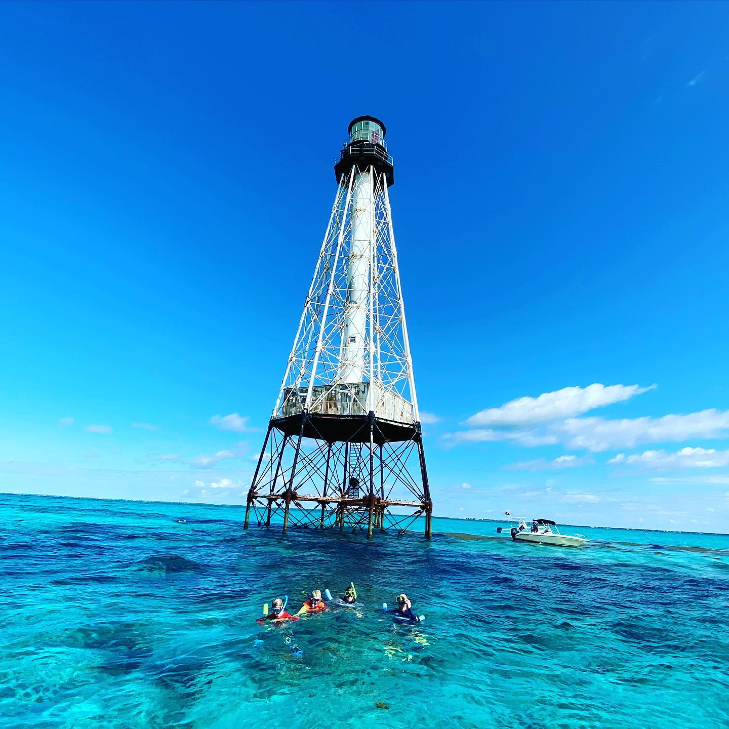 Top 5 Reasons You Can't Miss Out on Snorkeling in Islamorada Allergic